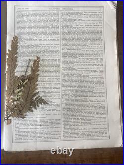 San Francisco News Letter and California Advertiser December 22, 1883 Edition