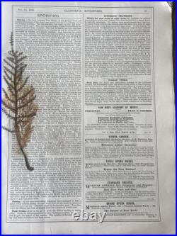 San Francisco News Letter and California Advertiser December 22, 1883 Edition
