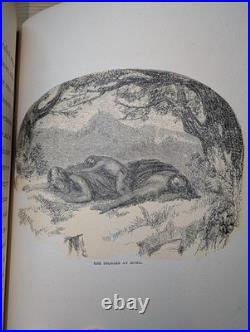 The Indians of California -J. Ross Browne- No. 2 of the Cold Press Series 1944