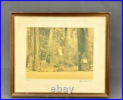 Thomas Moulin BOHEMIAN GROVE REDWOODS Framed Signed Photo c. 1956