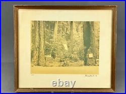 Thomas Moulin BOHEMIAN GROVE REDWOODS Framed Signed Photo c. 1956
