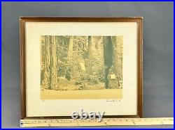 Thomas Moulin BOHEMIAN GROVE REDWOODS Framed Signed Photo c. 1956