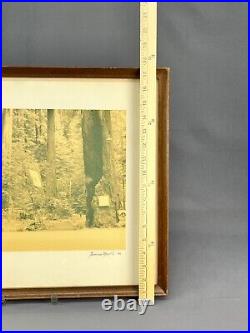 Thomas Moulin BOHEMIAN GROVE REDWOODS Framed Signed Photo c. 1956