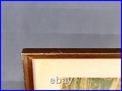 Thomas Moulin BOHEMIAN GROVE REDWOODS Framed Signed Photo c. 1956