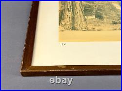 Thomas Moulin BOHEMIAN GROVE REDWOODS Framed Signed Photo c. 1956