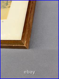 Thomas Moulin BOHEMIAN GROVE REDWOODS Framed Signed Photo c. 1956