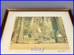 Thomas Moulin BOHEMIAN GROVE REDWOODS Framed Signed Photo c. 1956