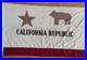 Vintage_Cotton_California_State_Bear_Flag_Ajax_Paramount_Flag_Co_San_Francisco_01_ai