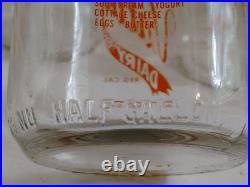 Vintage Sun Valley Dairy San Francisco California 1/2 Gal Milk Bottles & Carrier