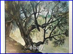 WERNER PHILIPP (1897-1982 San Francisco, CA) OLIVE TREE FRANCE, Signed, 1936