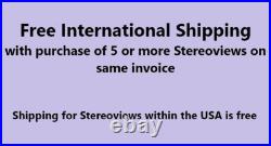 Watkins New Series Palace Hotel Interior San Francisco California Stereoview