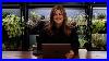 What_S_Your_Deal_With_Boxwoods_Isn_T_Your_Septic_Near_The_Fart_Smell_Recap_01_xokn