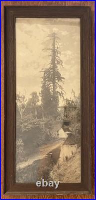 Willard E. Worden iconic El Palo Alto Sepia Photograph Stanford, CA 19-3/4 X 8