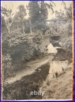 Willard E. Worden iconic El Palo Alto Sepia Photograph Stanford, CA 19-3/4 X 8
