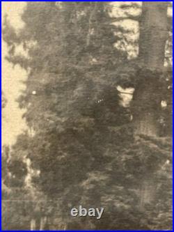 Willard E. Worden iconic El Palo Alto Sepia Photograph Stanford, CA 19-3/4 X 8